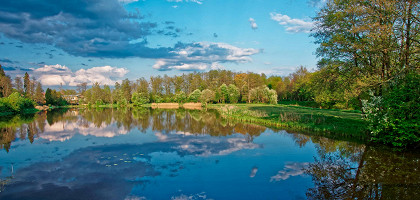 Заповедник Беловежская пуща