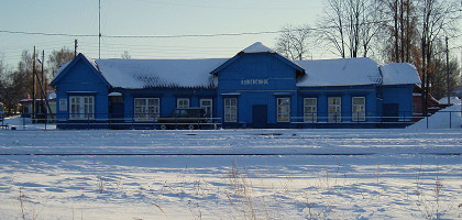 Богородск, Россия, Кожевенное