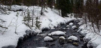 Ручей в Лапландском заповеднике