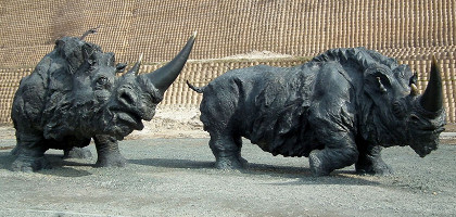 Археопарк Самаровский останец, шерстистые носороги