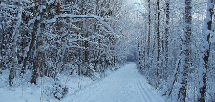 Ржевский лесопарк