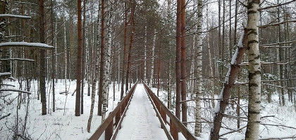 Экологическая тропа Мордовского заповедника зимой