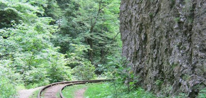 Железная дорога в Гуамском ущелье, Адыгея
