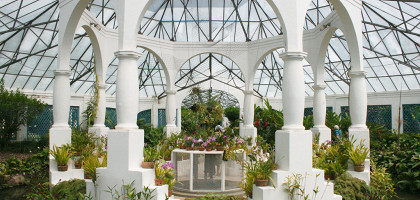 Ботанический сад Рио-де-Жанейро, оранжерея
