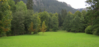 Поляна при замке Линденхоф, Бавария, Германия