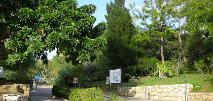 Ботанический сад Ниццы