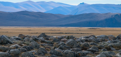 Курганы в долине Юстыт