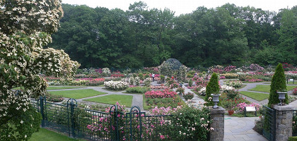 Ботанический сад Нью-Йорка