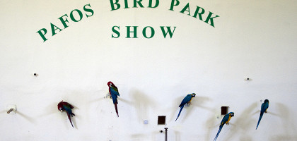 Парк птиц, на Пафосе