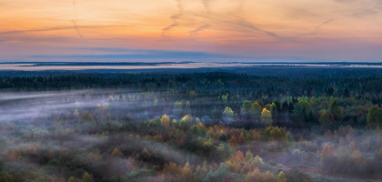 Природный парк «Вепсский лес»
