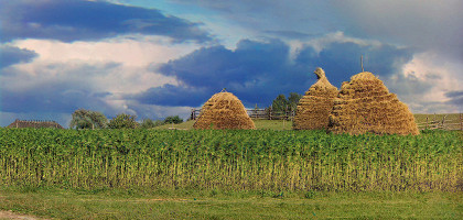 Стоги сена, Бородино