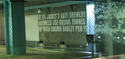 На пивоварне Guinness в Дублине