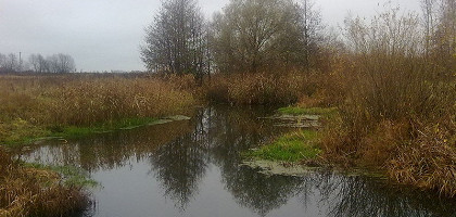 Река Изовка в Советском, Тамбовская область