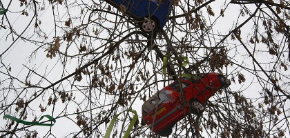 Реклама на деревьях города, Екатеринбург