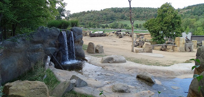 Пражский зоопарк, водопад