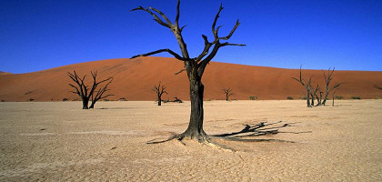 Намибия, пустыня Намиб