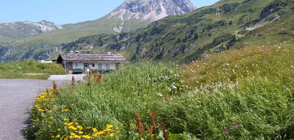 Флексен, Форарльберг