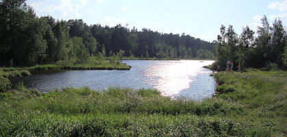 Озёрный лесопарк