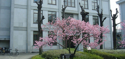 Институт теоретической физики в Университете Киото