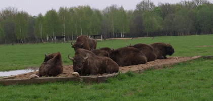 Могилёвский зоосад