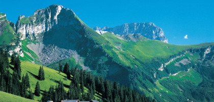 Альпийский поселок вблизи вершины перевала, Дьяблере-Виллар