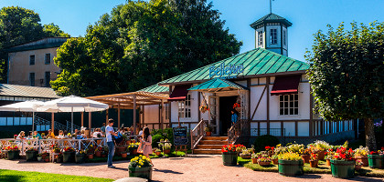 Кафе в Петергофе