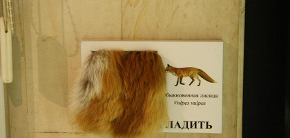 «Можно погладить», музей Дарвина, Москва