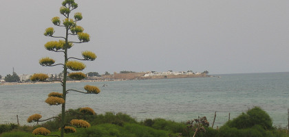 Вид на море, побережье Хаммамета