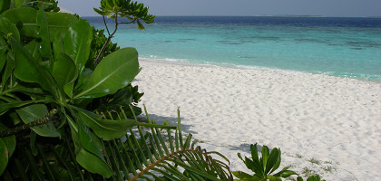 Белоснежные пляжи Мальдив