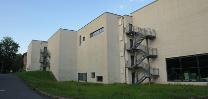 Дрезденский зоологический музей