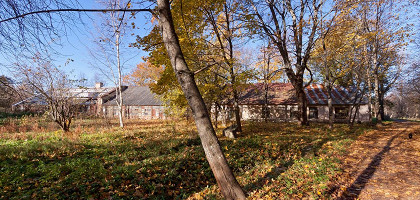 Дворцово-парковый ансамбль Сергиевка, оранжерея