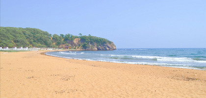 Шамора