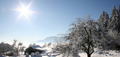 Великолепная зима в Словении