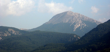 Поллино, Козенца