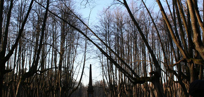 Парк за усадебным домом Чернышевых, Ярополец
