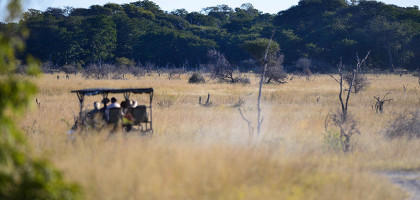 Сафари в национальном парке Хванге, Зимбабве