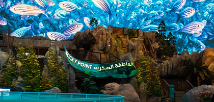 Океанариум SeaWorld на острове Яс, Абу-Даби, ОАЭ