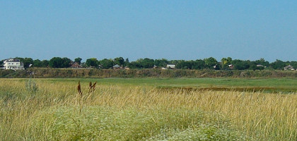 Виды Глафировки
