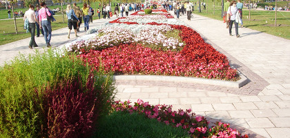 Клумбы, Царицыно, Москва