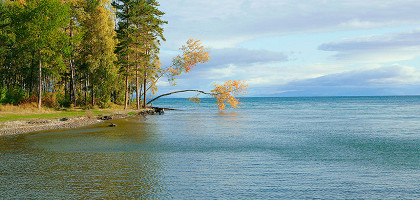 Баргузинский заповедник, бухта Крутенька