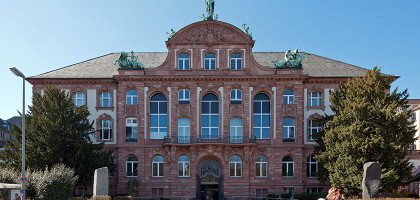 Зенкенбергский музей, Франкфурт-на-Майне