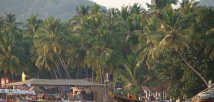 Юг Гоа, Palolem Beach