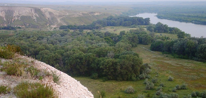 Донской, Волгоградская область