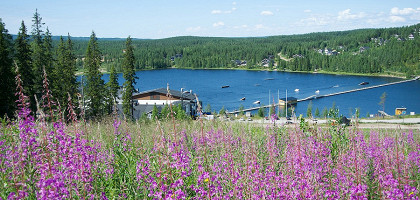 Лето в Уккохалле