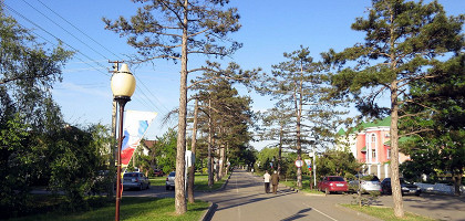 Целебный парк в Горячем Ключе, аллея Тысячи сосен