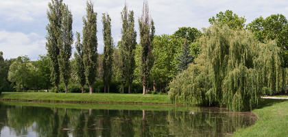 Пруд в парке Юрия Гагарина, Симферополь