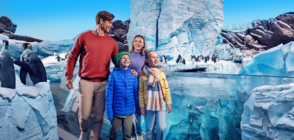 SeaWorld Abu Dhabi2