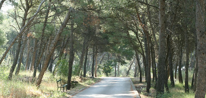 Парк при отеле Медена, Трогир