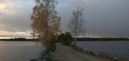 Заказник «Толвоярви»