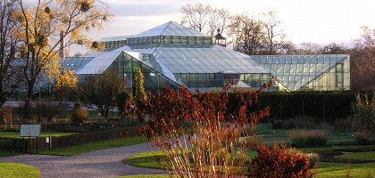 Бергианский ботанический сад
